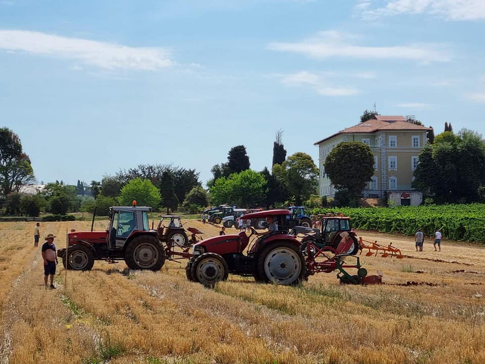 POREČ Devetnaesto državno natjecanje u oranju zadnji dan mjeseca rujna